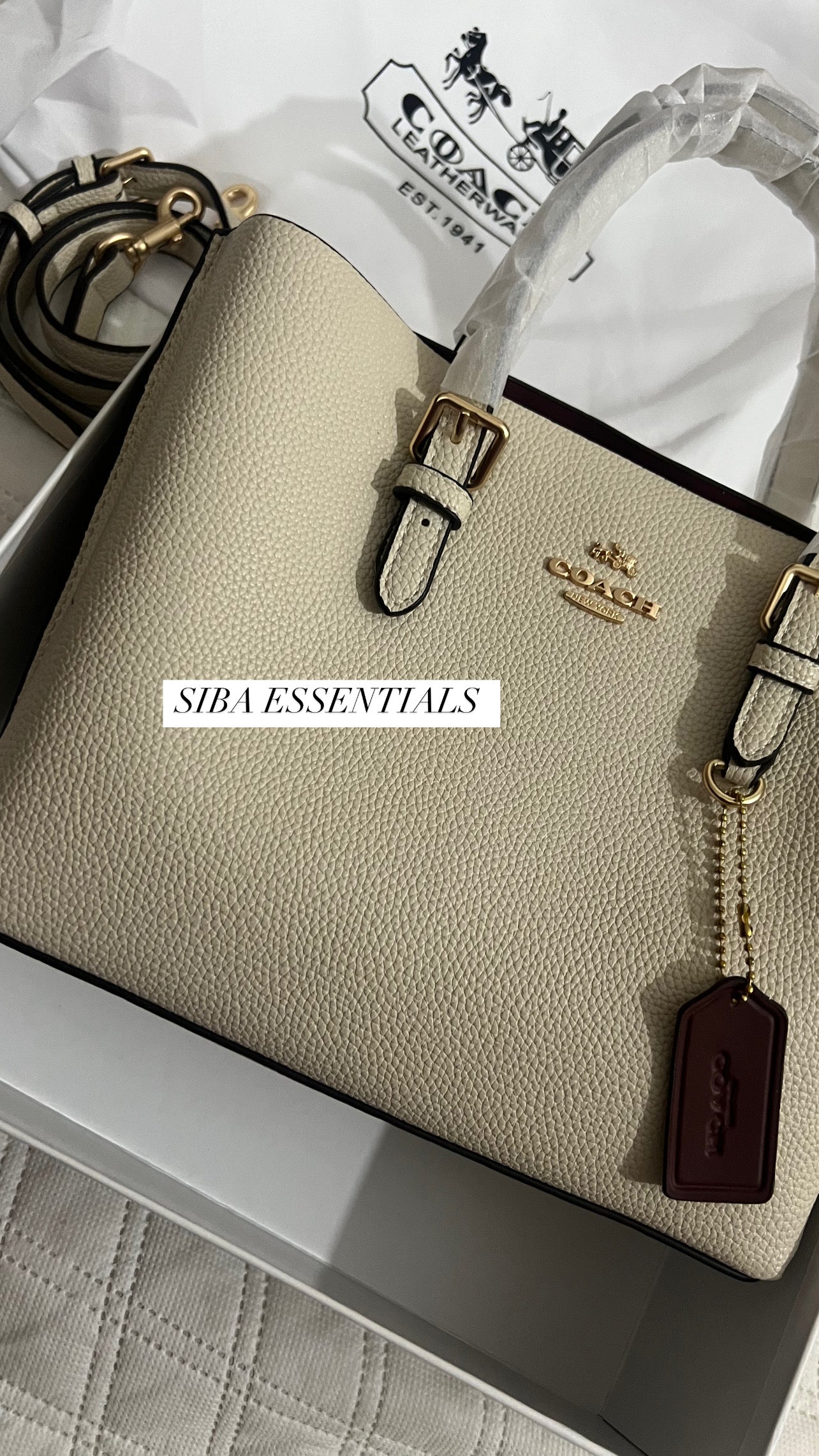 Coach mollie 25 tote bag