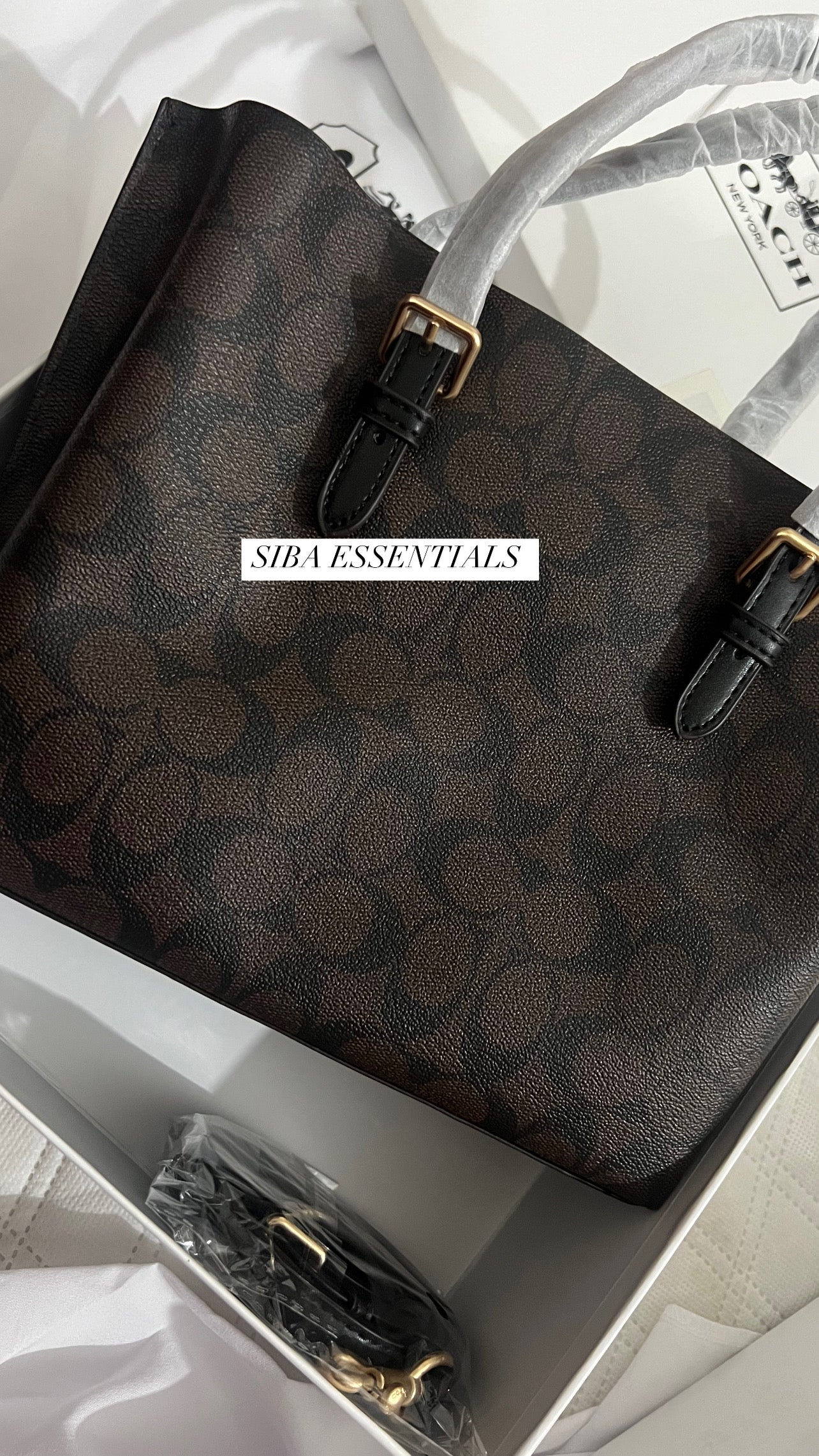 Coach mollie 25 tote bag