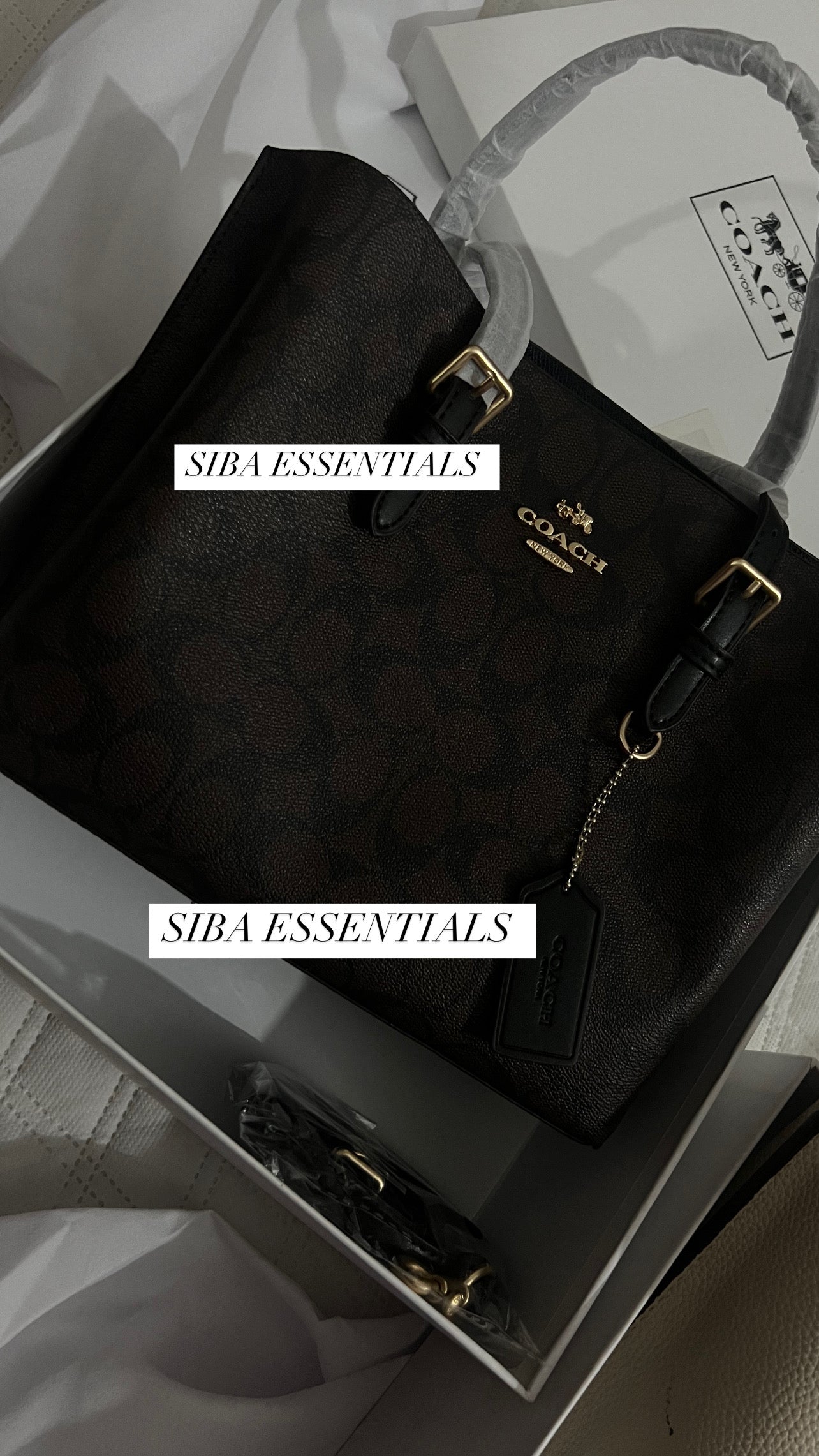 Coach mollie 25 tote bag