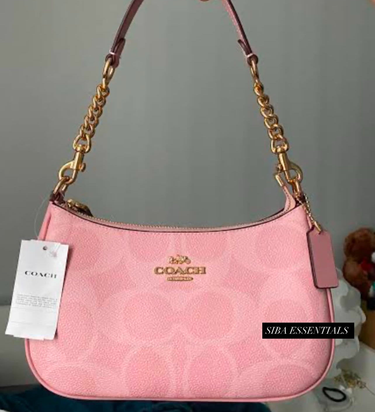 Coach teri bag