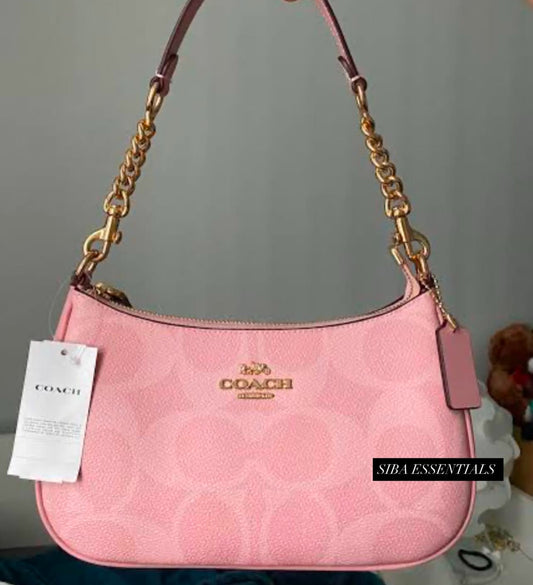Coach teri bag