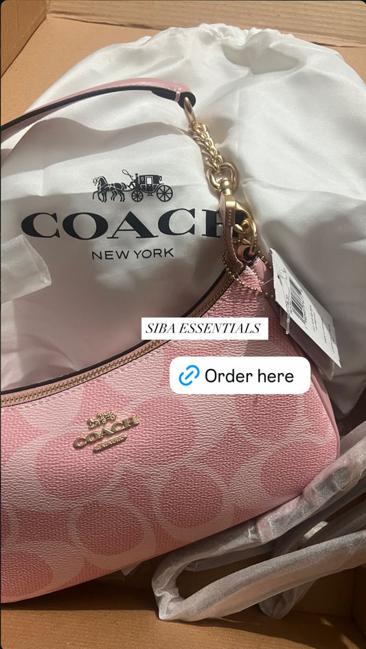 Coach teri bag
