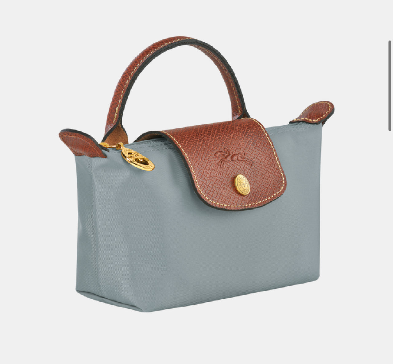 Long champ mini steel
