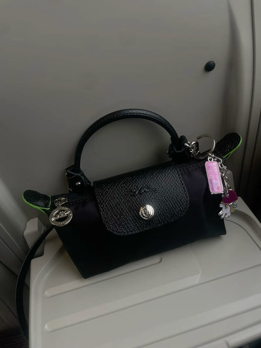 Long champ mini