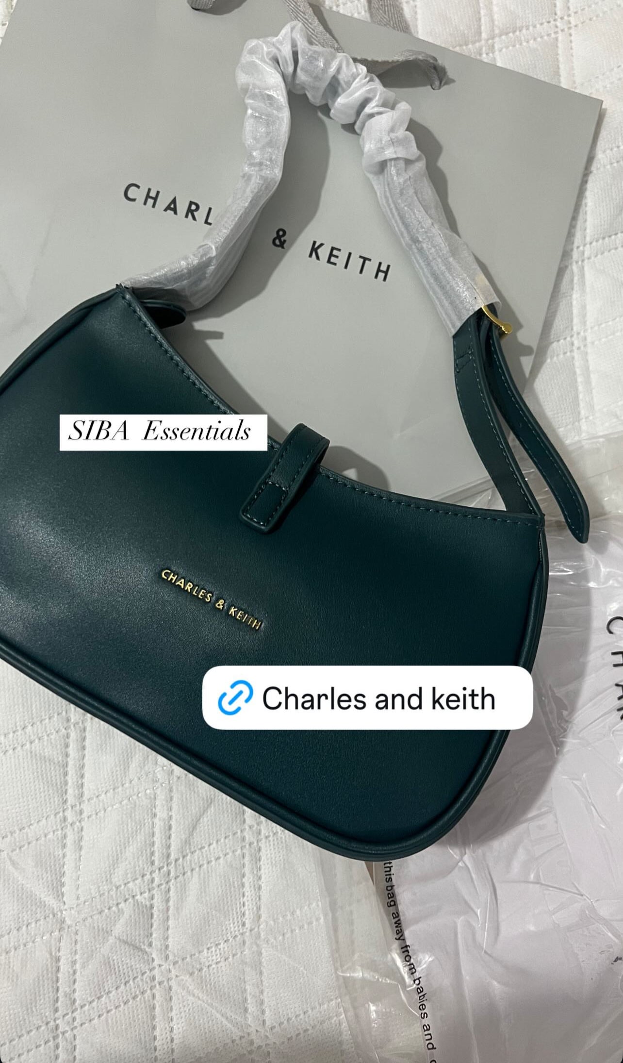 Charles and Keith bag
