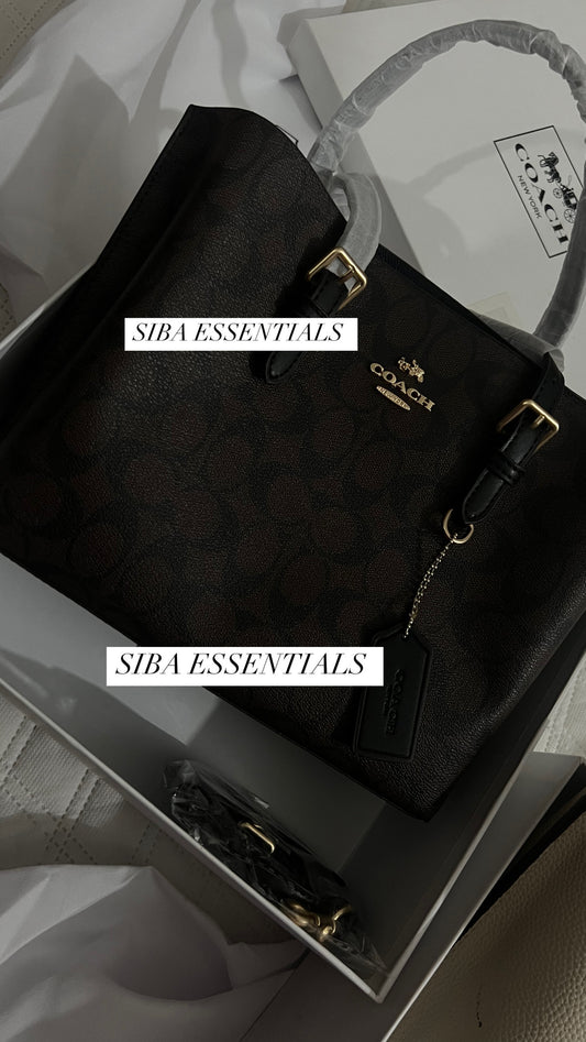 Coach mollie 25 tote bag