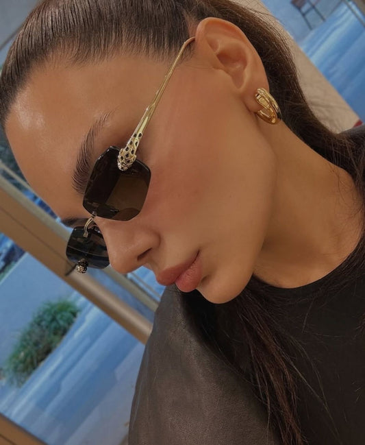 Cartier unisex  sunglasses (black )